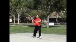 Brisbane Kung Fu - Master Yi-Yen Lee performing his World Cup winning Shaolin Qiang routine