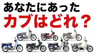 【2023年版】カブの魅力や選び方を徹底解説！スーパーカブ/ハンターカブ/クロスカブ/リトルカブからおすすめも紹介