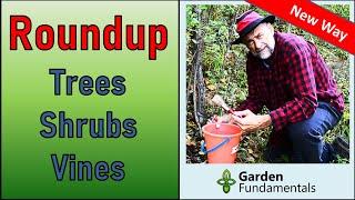 Precision Vine, Shrub & Tree Killer - using Roundup and the new cut & paint method