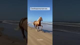 Свободна внутри нас #коуч #жизнь #коучинг #мотивация #счастье #психология #coaching #coach #life