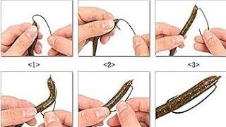 How to Rig an Offset Worm Hook for Texas & Carolina Rigs