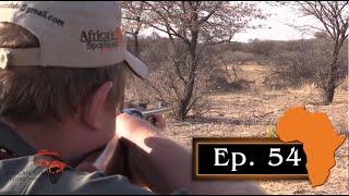 Back Pack Lion Hunting, Ep. 54