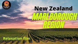 Marlborough Region New Zealand | beautiful travel places | most beautiful places | one earth travel