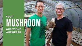 Medicinal Mushrooms FAQs with Jeff and Skye Chilton