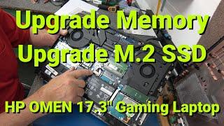 HP Omen 17" Gaming Laptop SSD Upgrade Memory Upgrade & Clone