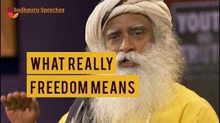 What really “Freedom" means | Sadhguru Speeches