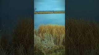 Родные места (от подписчика)