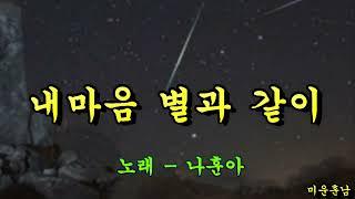 내마음 별과 같이  -  나훈아