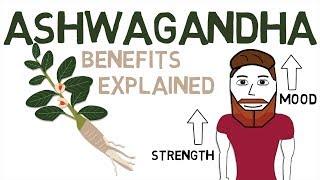 ASHWAGANDHA BENEFITS: What Ashwagandha Is And How It Works