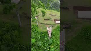 Bali  Lahangan sweet. Viewpoint. Best Agung view. Drone video. #shorts