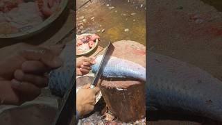 Amazing Rohu Fish Cutting Skills In Bangladesh Fish Market By Expert Cutter #shorts