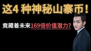 这4 种神秘山寨币竟藏着未来169倍价值潜力？