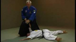 Odbrana - Learn Real Aikido - Adults Yellow Belt