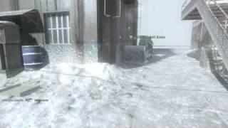 Project Goose - Black Ops Game Clip