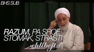 Razum, pa srce, stomak, strasti (ajetullah Mohsen Qaraati)