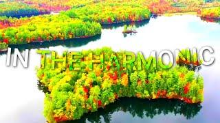 IN THE HARMONIC | MY FIRST MUSIC  | #music #song #harmony #harmonic#sound #edit #flstudiomobile