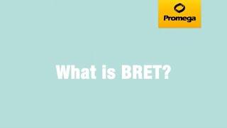 What Is BRET?