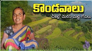 Tribal village Location in dense forest || natural life style || #villages