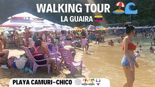 Playa Camuri-Chico Walking Tour 2024 Venezuela