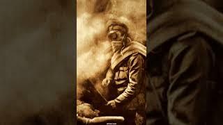 Зачем солдаты раскладывали вокруг окопов хворост #shorts
