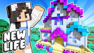 A NEW World! Minecraft New Life SMP #1