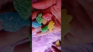 TROLLI Dinorex #asmr #vegan #sour