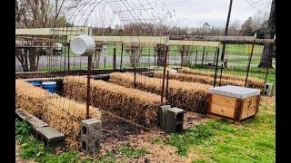 Setting Up A Straw Bale Garden-Let's Get Started