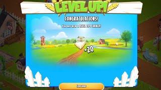 New Level 204 | Hay Day 