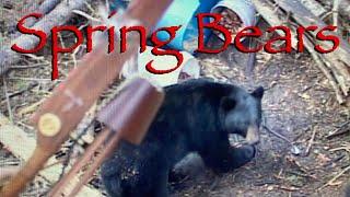 Spring Bear Hunting Canada with Traditional Archery Equipment
