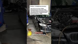 Контейнер автозапчастей из Японии: какая итоговая цена? Вмещает 30 авто￼ 