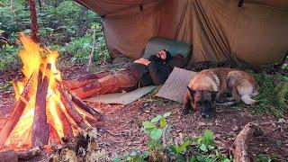 2 Days Camping in a Rainy Forest with My Dog | Nature, Campfire & Peaceful Moments
