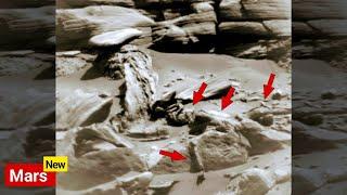 Mars Life Unbelievable Strange Images Capture by NASA's Mars Rover - Perseverance Curiosity LIVE