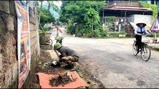 Clean up the sidewalk between the intersection of residential areas full of trash and weeds