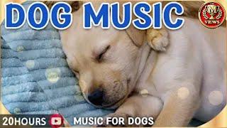 Dog favorite music, 20 hours of dog sleep music｜Separation anxiety relief for puppies who are alon