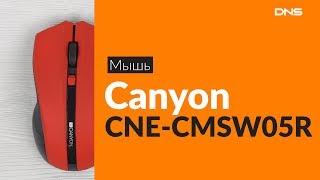 Распаковка мыши Canyon CNE-CMSW05R / Unboxing Canyon CNE-CMSW05R