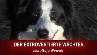 Die Vielfalt der Hunde - Der extrovertierte Wächter - Portrait - von Maja Nowak