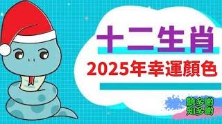 2025年蛇年運程，12生肖幸運顏色。 「廣東話」 「粵語廣播」 「中文字幕」 「聽多啲、知多啲」