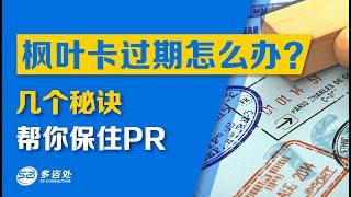 【回国发展保枫叶卡须知！几个秘诀帮你保住PR！在境外的同学马上看过来】 | 多咨处（S2 Consulting）| 加拿大