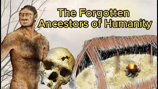 Homo Heidelbergensis: The Forgotten Ancestors of Humanity