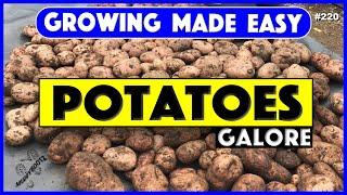 220  Growing Potatoes  Growing Made Easy  A Step by Step Guide 