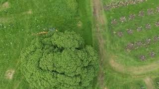 Siston Brook Vineyard May 2024