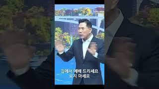 평화나무 사행시