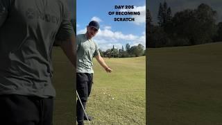 Day 205 of becoming a scratch golfer in 1 year #golf #bammikell