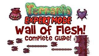 Terraria Wall of Flesh Expert Mode Guide (& Normal Mode too! Drops, Spawning, Demon Heart & More!)