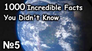 1000 interesting facts you didn't know #5