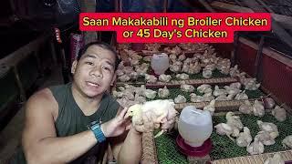 Saan Makakabili ng Broiler Chicken at paano pumili ng Class A na Broiler Chicken