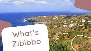 What's Zibibbo Wine?