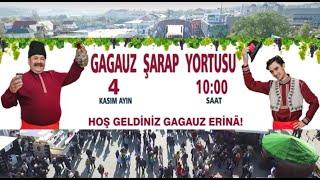  LIVE | Gagauz şarap yortusu 2023