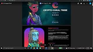 Don't sleep on Crypto Coral Tribe NFT - One of the Coolest Solana Projects