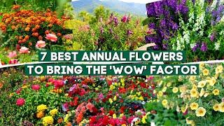 7 Best Annual Flowers and Plants to Bring the 'Wow' Factor 